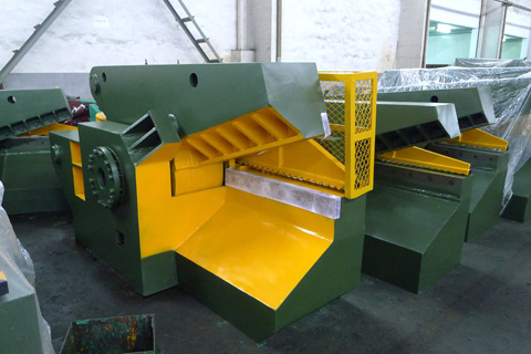 Q43 Alligator Shear